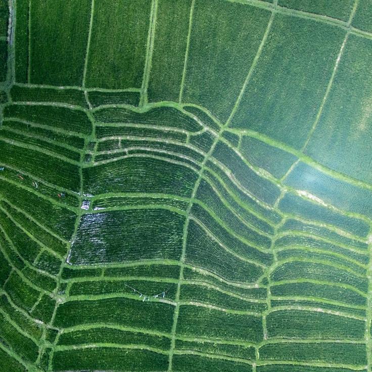 Family terraces and cafés for calm evenings in Madrid